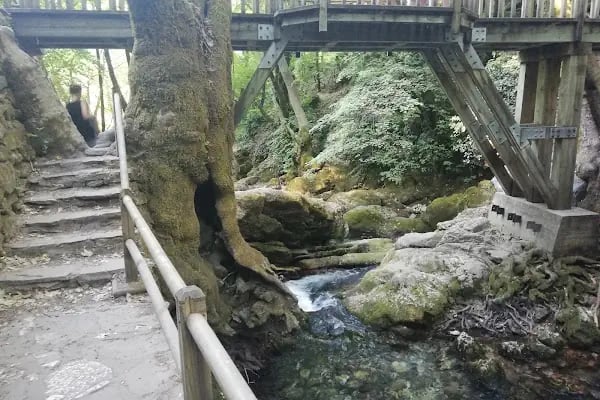 Ayazma Pınarı Tabiat Parkı - Resim 6