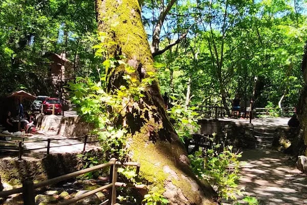 Ayazma Pınarı Tabiat Parkı - Resim 19
