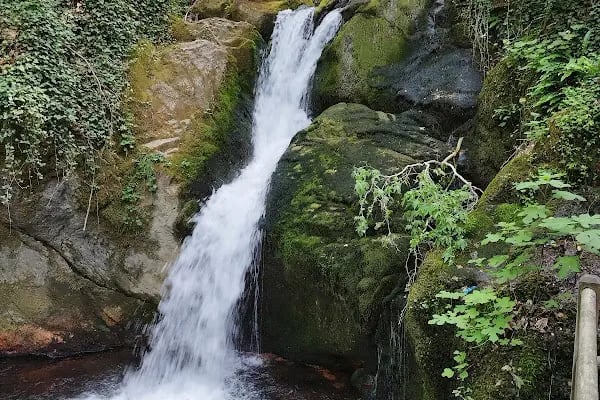 Ayazma Pınarı Tabiat Parkı - Resim 3
