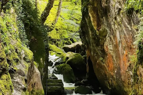 Ayazma Pınarı Tabiat Parkı - Resim 20