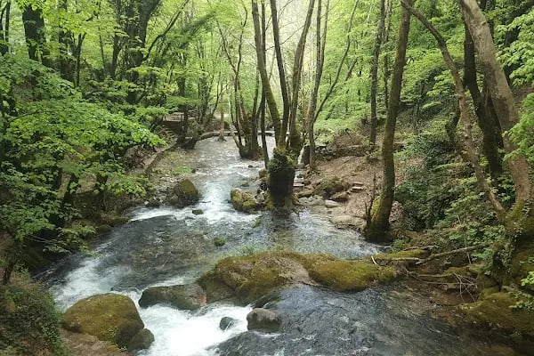 Ayazma Pınarı Tabiat Parkı - Resim 10