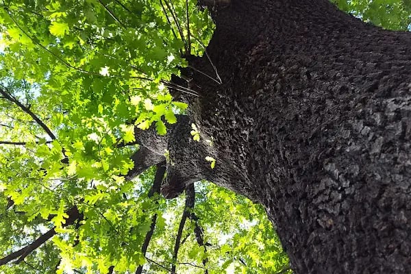 Yenimahalle Belediyesi Varlık Çocuk Parkı - Resim 17