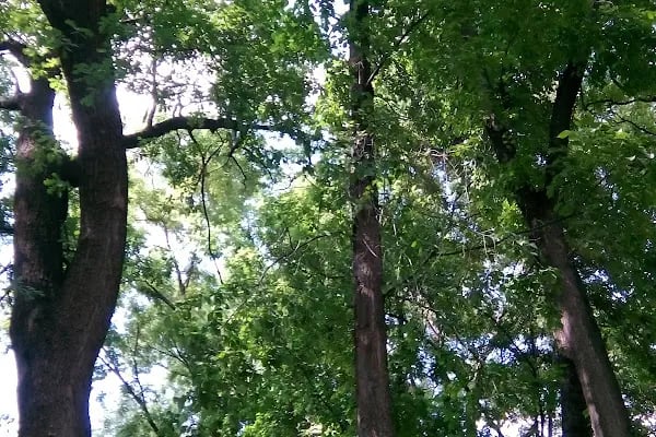 Yenimahalle Belediyesi Varlık Çocuk Parkı - Resim 2