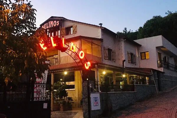 Bergama Selinos Otel - Resim 8