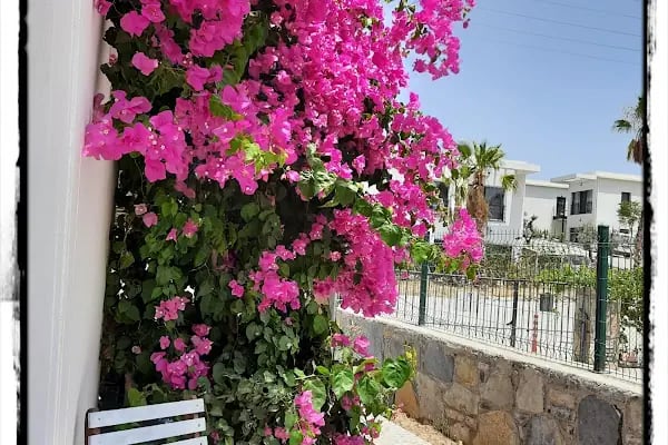 KaderAktü Sanatbodrum - Resim 18