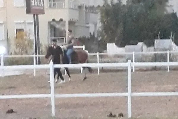 Maviay Kır Düğün Salonu - Resim 3