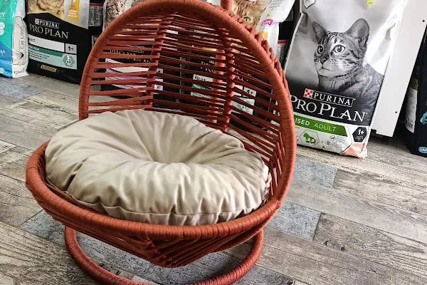 Turan Petshop - Resim 6