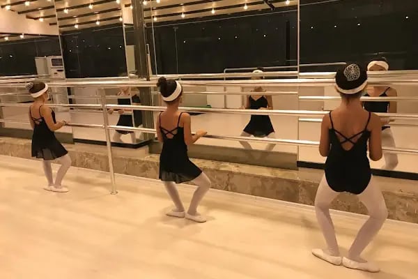 Doğulu Muzık Bale Eğitim Kurumları Beylıkduzu - Resim 5