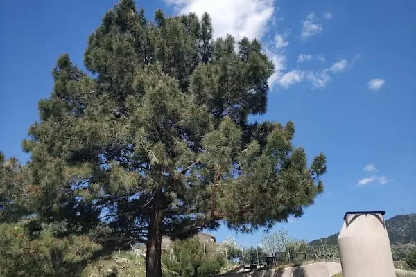 Kovankayası Yaşayan Parkı - Resim 19