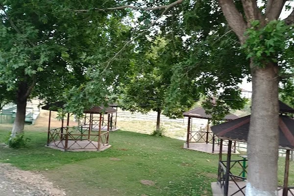 Hara Selçuk Binicilik Akademisi - Resim 6