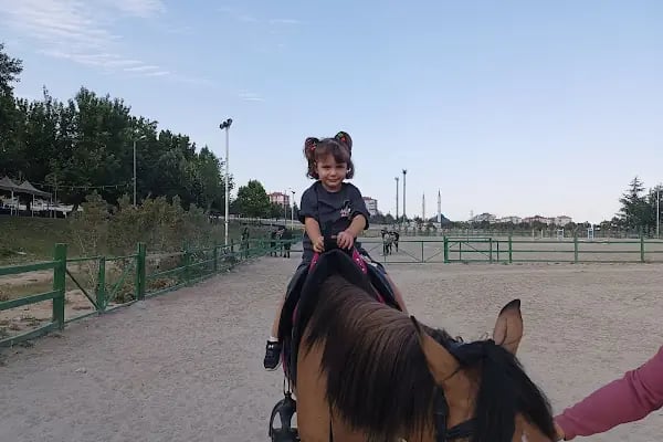 Hara Selçuk Binicilik Akademisi - Resim 13
