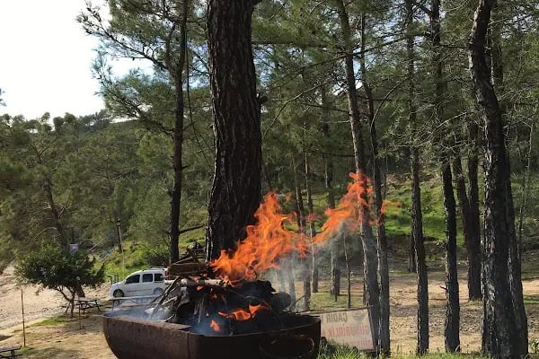 Dikilitaş kamp ve Piknik alanı - Resim 4