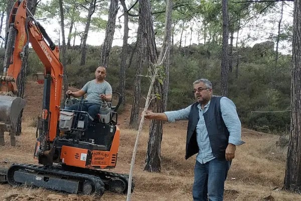 Dikilitaş kamp ve Piknik alanı - Resim 6