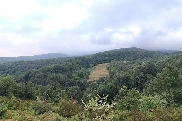 Tırnova Mahallesi Cami - Resim 3