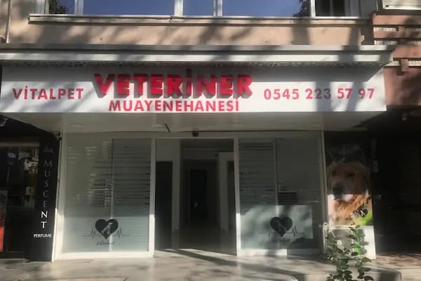 Bakırköy Veteriner - Vitalpet Veteriner Kliniği - - Resim 4