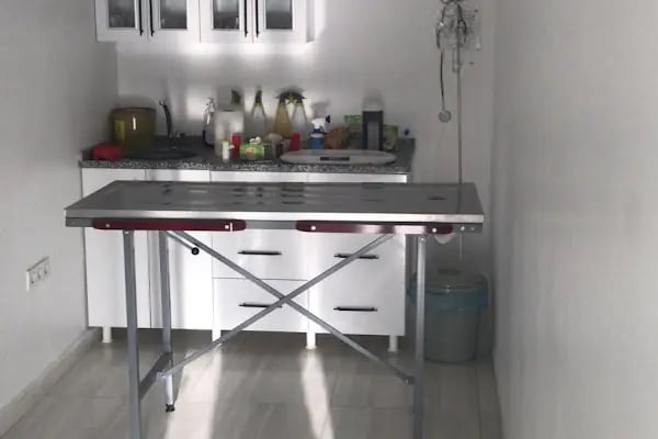 Bakırköy Veteriner - Vitalpet Veteriner Kliniği - - Resim 5