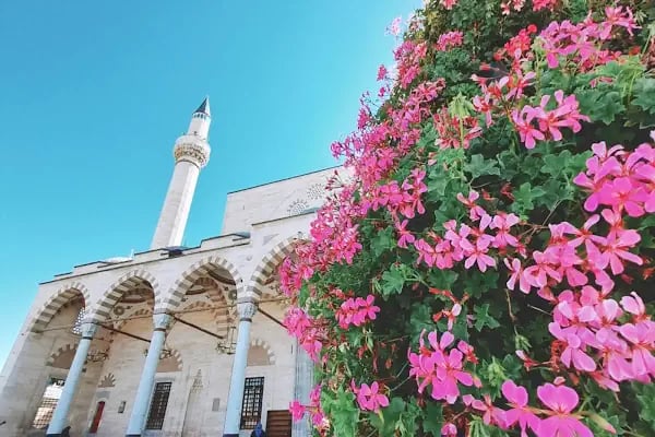 Konya Sultan Selim Camii - Resim 17