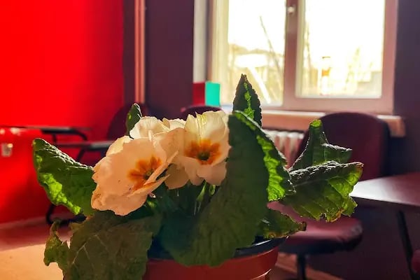 Active English Bahçelievler - Ankara Dil Kursu - Resim 10