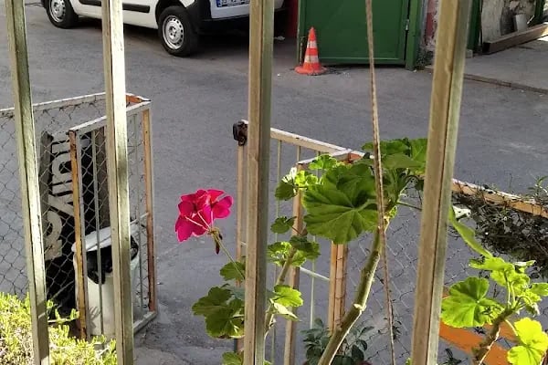 Shantihome Hostel İzmir - Resim 19