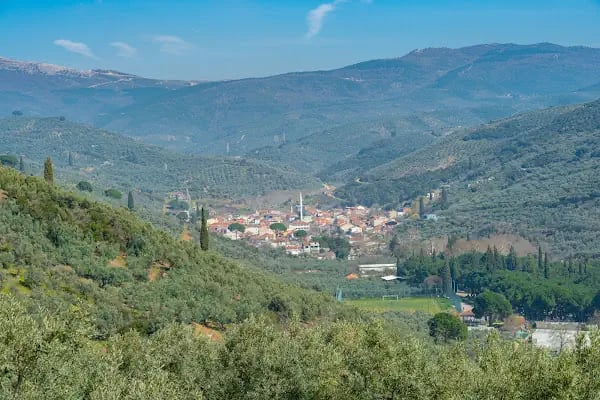 Küçük Kumla Köy Camıı - Resim 6