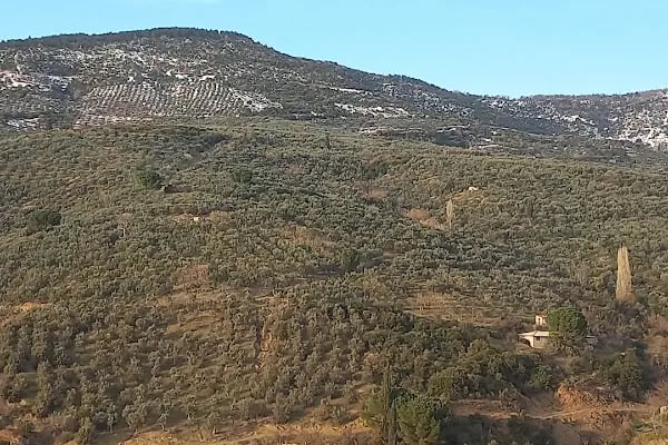 Küçük Kumla Köy Camıı - Resim 11