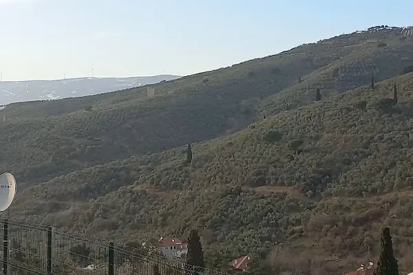 Küçük Kumla Köy Camıı - Resim 3