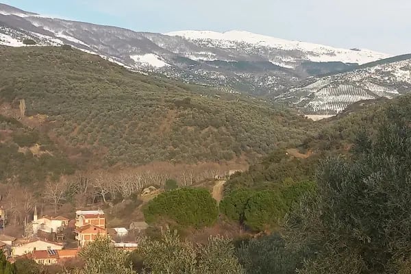 Küçük Kumla Köy Camıı - Resim 16
