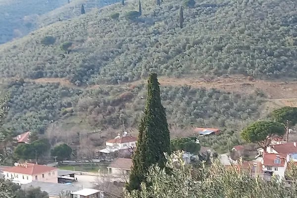Küçük Kumla Köy Camıı - Resim 13