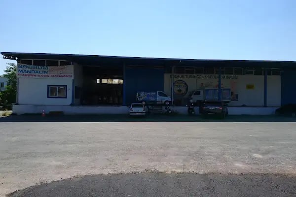 Bodrum İlçesi Turunçgil Ureticiler Birliği Narenciye Paketleme Tesisi - Resim 2