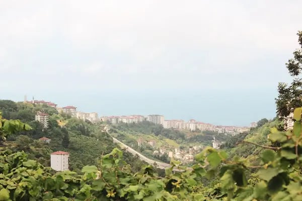 HomyWood Bungalov Trabzon - Resim 11