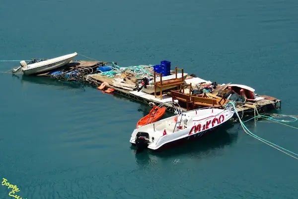 Aykoç Fotoğrafçılık - Resim 14