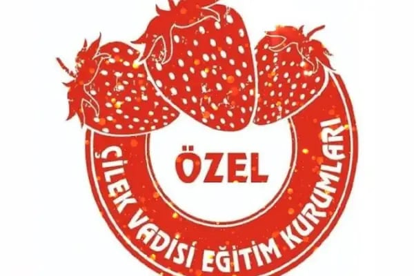 ALANYURT ÇİLEK VADİSİ ANAOKULU - Resim 13