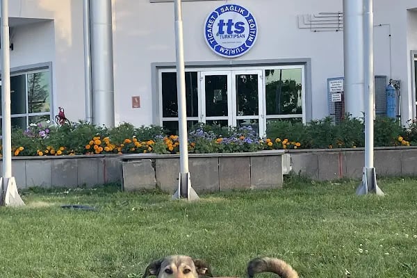 TTS Turktıpsan A.Ş. - Resim 2