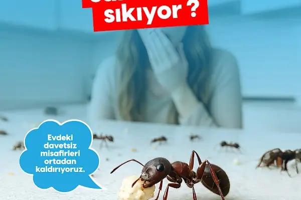 Haşere İlaçlama - Resim 20