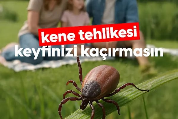 Haşere İlaçlama - Resim 18