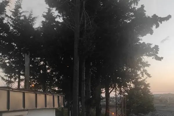 Arnavutköy Abbas efendi hazretleri türbesi - Resim 6