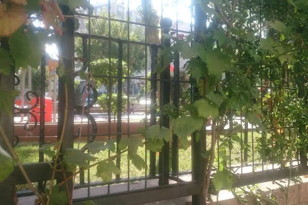 12 Şehitler Parkı - Resim 13
