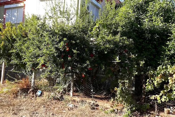 Özaydeniz Sitesi - Resim 8