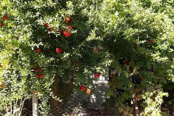 Özaydeniz Sitesi - Resim 6