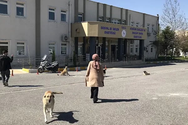 Dokuz Eylül Üniversitesi Sosyal Bilimler Enstitüsü - Resim 9