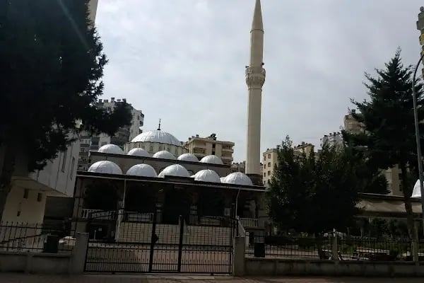 Nomanoğlu Camii - Resim 3