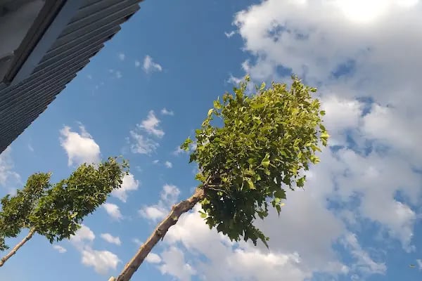 Elektrooptik Sistemler Ana Bakım Fabrika Müdürlüğü - Resim 2