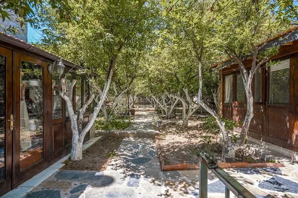Ha La Bodrum - Resim 6