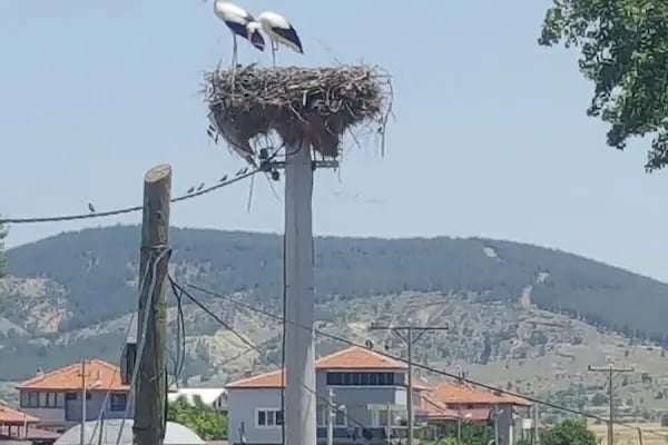 NEFİS LOKANTASI - Resim 4