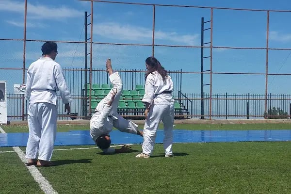 Uao Buca Aikido Okulu - Resim 2