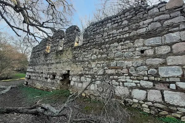 Zoodochos Pege kilise - Resim 6