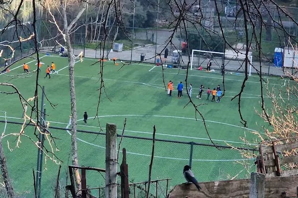 Football Field - Resim 5
