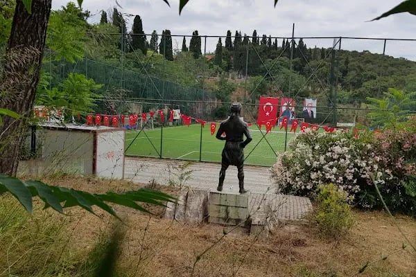 Football Field - Resim 4