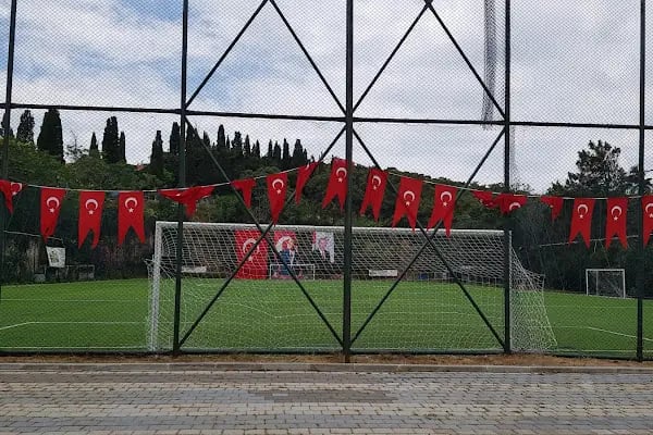 Football Field - Resim 3