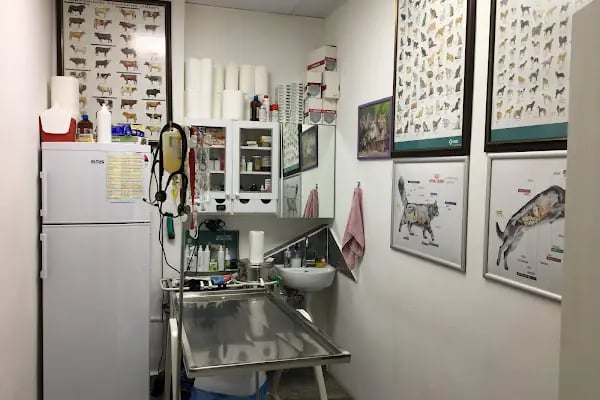 Özbay Veteriner Kliniği - Resim 8